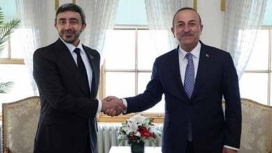 Turkish president receives UAE foreign minister