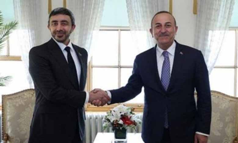 Turkish president receives UAE foreign minister