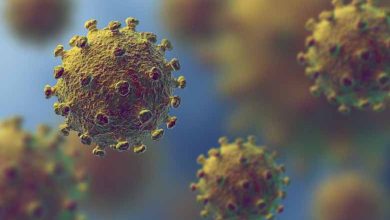 Coronavirus- more than two-thirds of the world's population has antibodies to Covid-19