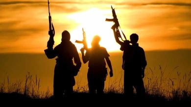 Large European moves to crack down on Brotherhood organizations