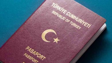 Turkish authorities grant citizenship to members of terrorist groups