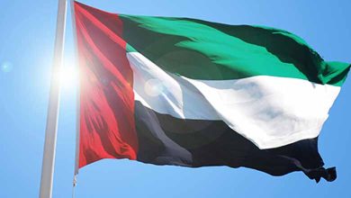 UAE supports Yemeni residents of Shabwah - Details