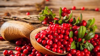 4 good reasons to consume cranberries after 50 years