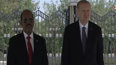 Erdogan receives Somali President in Ankara