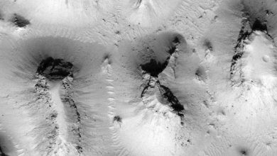 Noodle-like object found on Mars intrigues NASA