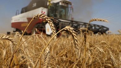 UAE - I2U2 Summit to unveil $2-bn initiative to secure the world food