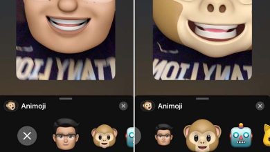WhatsApp would provide its own Memoji to add a touch of fun to your video calls