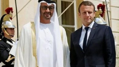 Western media celebrates the visit of the President of the UAE to France. What did it say?