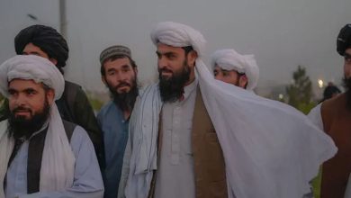 Afghanistan: Taliban kill dozens of former soldiers and human rights activists