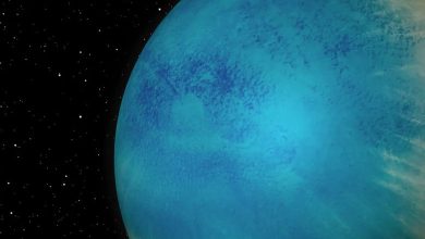 Astronomers discovers an exoplanet largely covered in water