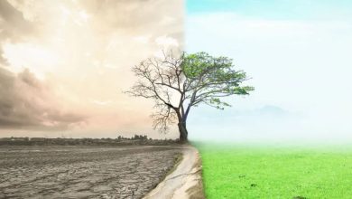 Climate: the world is not preparing for the worst enough scientists warn