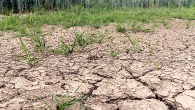 France - Several departments placed on drought alert