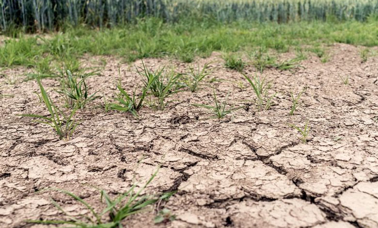 France - Several departments placed on drought alert