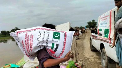 Goodwill Messengers: UAE scrambles to save victims of Pakistan's devastating floods