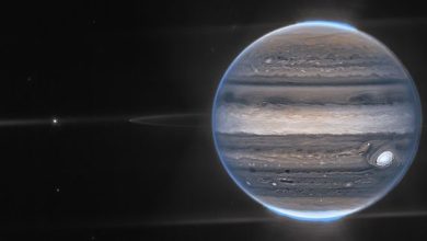 Two small moons, nebulous rings and glowing poles: NASA has released impressive new images of Jupiter thanks to the James Webb Space Telescope.