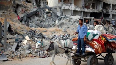 Pictures - Gaza breathes sigh of relief on first day of truce