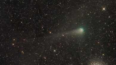 This summer, a giant comet passes through the constellation Scorpius 