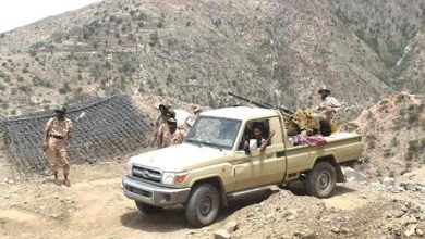 Yemen’s Brotherhood attempts to create chaos in Shabwah... Details