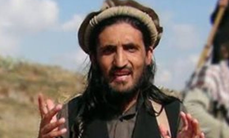 Assassination of Pakistani Taliban leader threatens stability
