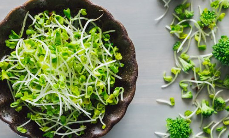 5 Best green vegetables that you should eat regularly