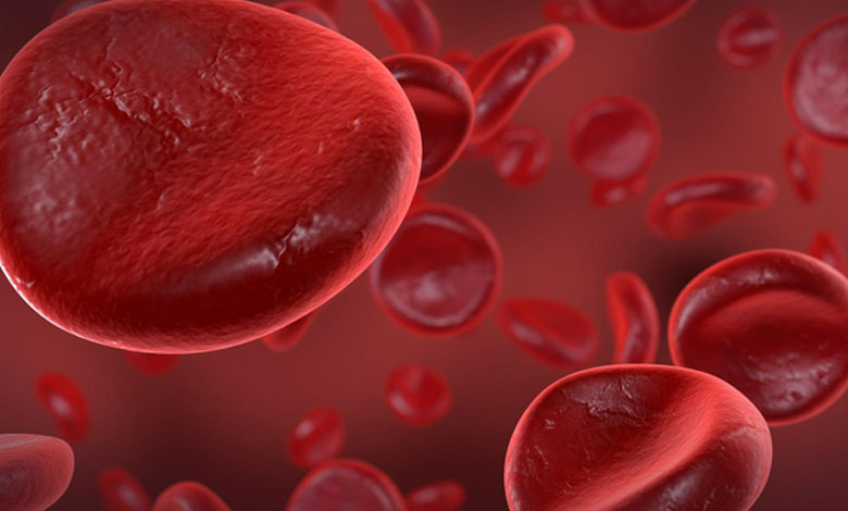 Blood cancer - All You Need to Know