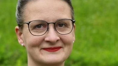 Pressure on Brotherhood continues in parliament - German expert