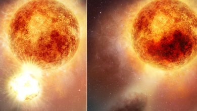 The strange oscillations of Betelgeuse