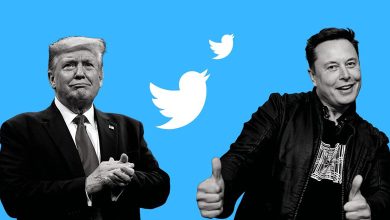 Trump's Twitter Return.. Mask's Gift for the U.S. Presidential 