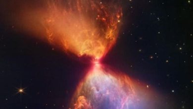 James Webb Telescope detected Majestic Hourglass of Dust Around Young Star