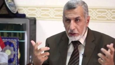 Who is Mohieddin al-Zayt, the acting leader of the Muslim Brotherhood and el-Shater's arm?