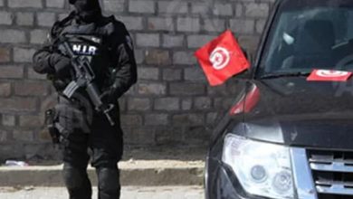 Tunisia: Security forces foil terrorist plans led by women's cell - Details