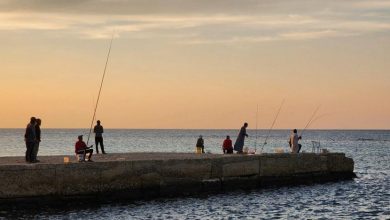 Bashagha’s Govt Calls on Libya’s GNU to Resign