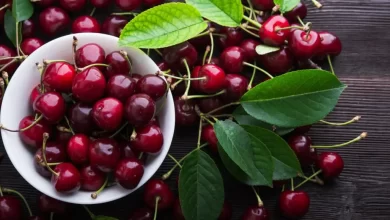 Cherries: here's how this fruit works!