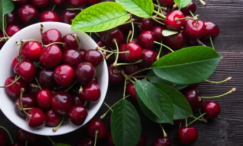 Cherries: here's how this fruit works!