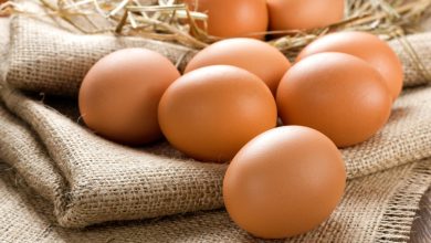 Discover the nutritional benefits of eggs for Your health