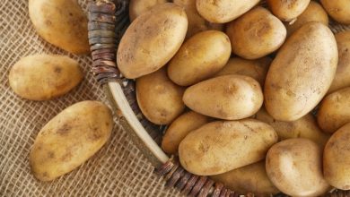 Do potatoes help you lose weight?