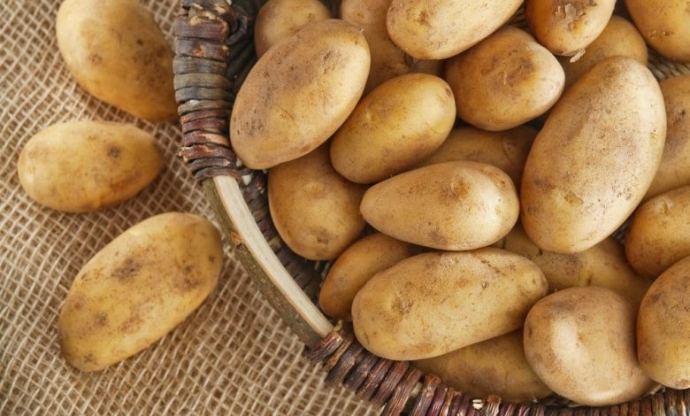 Do potatoes help you lose weight?