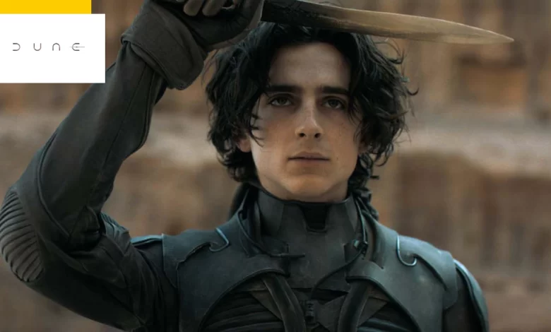 Dune 2- a first photo and a synopsis for the sequel with Timothée Chalamet and Zendaya 