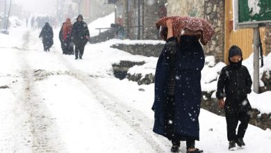 G7 Tells Taliban to ‘Urgently Reverse’ Ban on Women Aid Workers