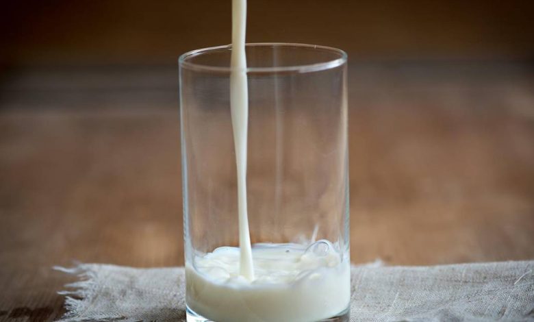 These are the amazing benefits of daily milk intake