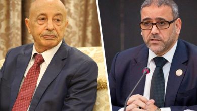 Disagreements between Aguila Saleh and al-Mishri delay Libyan elections 