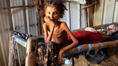 Security collapses and hunger spreads... Houthi's crimes are innumerable in Yemen