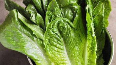 The Many Health Benefits of Eating Green Vegetables