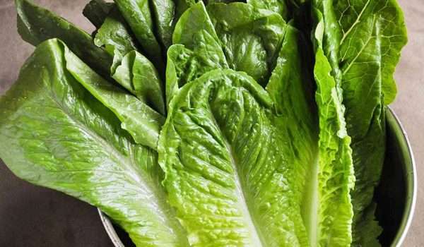 The Many Health Benefits of Eating Green Vegetables