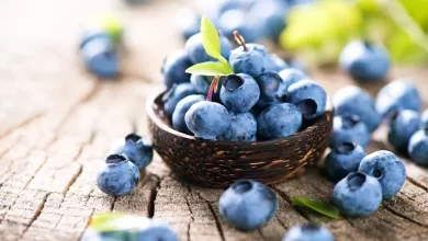 The Mighty Blueberry: 10 Proven Health Benefits to Boost Your Well-being