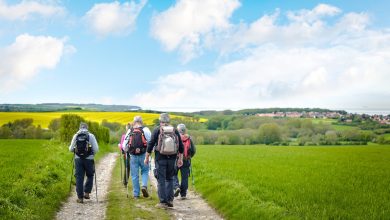 Walking 6,000+ steps daily could reduce cardiovascular risk