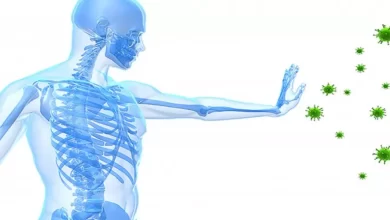 Ways to Boost Your Immune System Naturally: The Importance of Diet, Exercise, Sleep, and Stress Management"