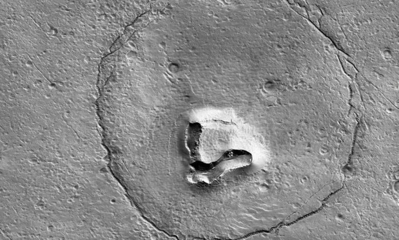 "Bear" on the surface of Mars. A stunning photo that raises a commotion