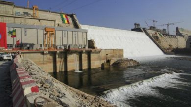 Ennahda Dam- Shoukry Confirms to United Nations Official Egypt's Adherence to Its Position