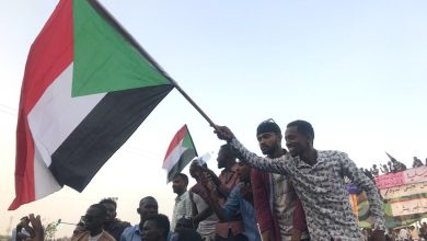 International Efforts to Overcome the Stalemate in the Political Process in Sudan - Details